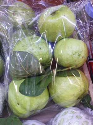 Ổi Nữ Hoàng